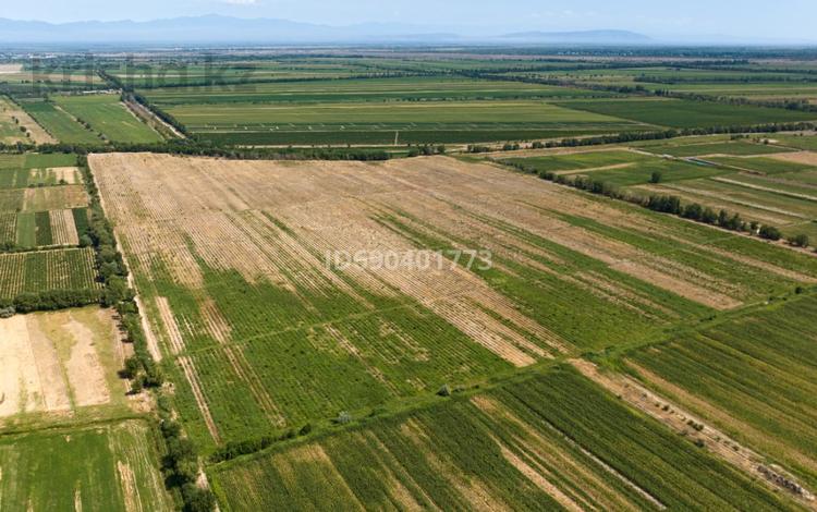 Жер телімі · 27.23 га, Шелек, бағасы: ~ 70.2 млн ₸ — фото 4