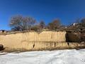 Участок · 8 соток, С/т Сад, уч.23 за 20 млн ₸ в Алматы, Медеуский р-н — фото 4
