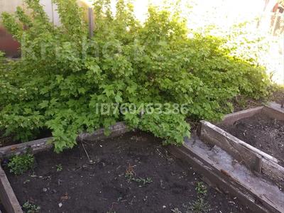 Отдельный дом · 2 комнаты · 33 м² · 4.5 сот., Сабита муканова 97 — Парковая муканова за 15 млн 〒 в Петропавловске