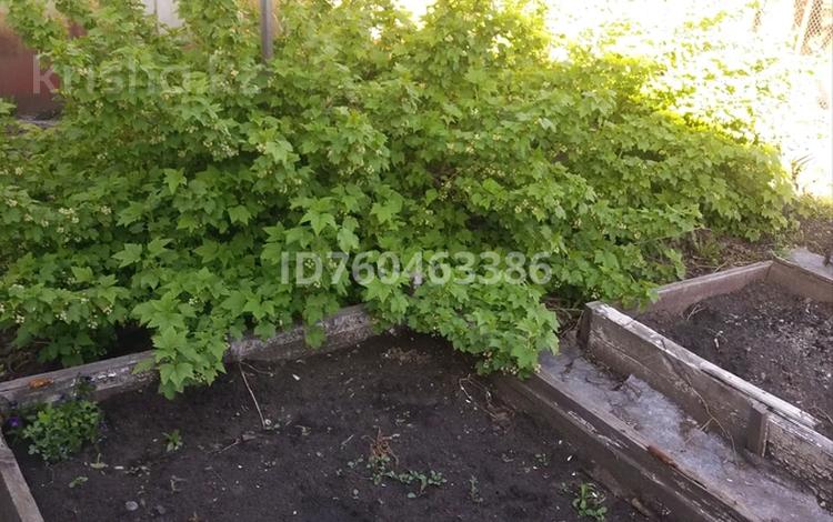 Отдельный дом · 2 комнаты · 33 м² · 4.5 сот., Сабита муканова 97 — Парковая муканова за 13 млн ₸ в Петропавловске — фото 2