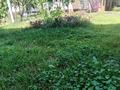 Отдельный дом · 6 комнат · 270 м² · 9 сот., Г. Орманова 6 — Конторы Водных ресурсов за 120 млн 〒 в Шымкенте, Туран р-н — фото 48