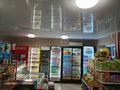 Пивной -продуктовый магазин, 151 м² за 31.5 млн 〒 в Семее, мкр Красный Кордон — фото 11