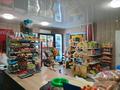 Пивной -продуктовый магазин, 151 м² за 31.5 млн 〒 в Семее, мкр Красный Кордон — фото 14