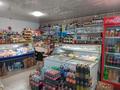 Пивной -продуктовый магазин, 151 м² за 31.5 млн 〒 в Семее, мкр Красный Кордон — фото 6