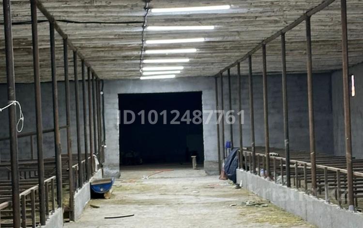 Сельское хозяйство · 50000 м² за 130 млн 〒 в  — фото 2