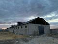 Сельское хозяйство · 50000 м² за 130 млн 〒 в  — фото 15
