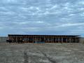 Сельское хозяйство · 50000 м² за 130 млн 〒 в  — фото 9