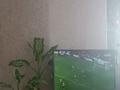 3-комнатная квартира, 63 м², 4/4 этаж, Акпаева 59 Б — Рыскулова Белинского за 30 млн 〒 в Алматы, Жетысуский р-н — фото 11