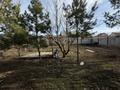 Отдельный дом · 4 комнаты · 150 м² · 12 сот., Октябрьская 50 — Выход на Самарскую трассу за 75 млн 〒 в Мичуринское — фото 11