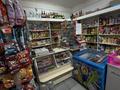 Отдельный дом · 4 комнаты · 150 м² · 12 сот., Октябрьская 50 — Выход на Самарскую трассу за 75 млн 〒 в Мичуринское — фото 25