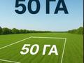 Участок · 50 га, Конаев за 1.5 млрд ₸ — фото 19