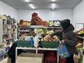 Свободное назначение · 1150 м² за 500 млн ₸ в Междуреченске — фото 12
