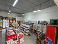 Магазины и бутики · 160 м² за 600 000 ₸ в Шымкенте, Абайский р-н — фото 3