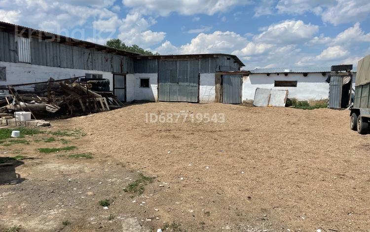 Ауыл шаруашылығы · 750 м², бағасы: 28 млн ₸ в Ахмете — фото 2