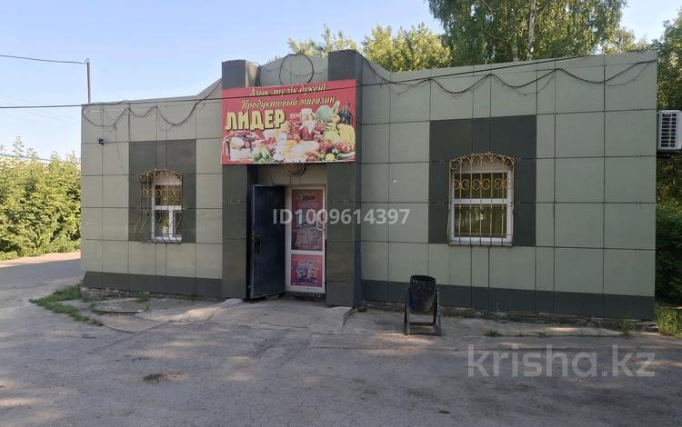 Маган лидер · 74 м² за 20 млн ₸ в Сергеевке — фото 6