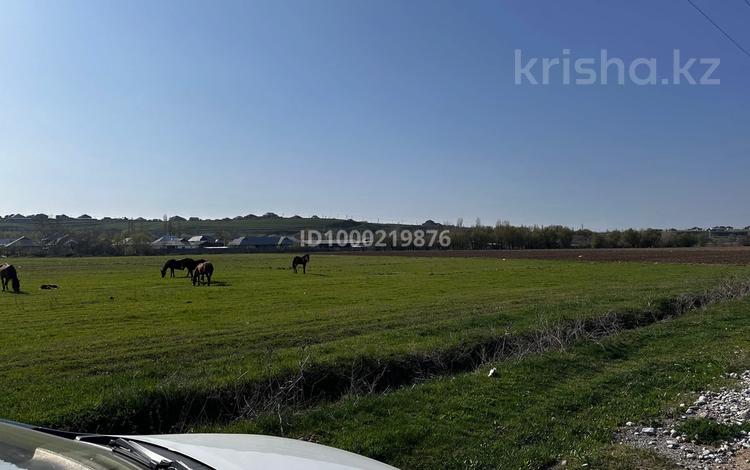 Участок · 8 соток, Аксукент 2 — За линей за 7.6 млн ₸ — фото 6