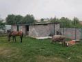 Отдельный дом · 4 комнаты · 90 м² · 8 сот., п. Шиен, Айтұмар 86 — Ташкетский трасса за 20 млн ₸ в Узынагаш — фото 5