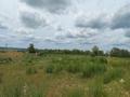 Участок · 1183.83 сотки, Село Долматово за ~ 27.8 млн ₸ в Северо-Казахстанской обл. — фото 6