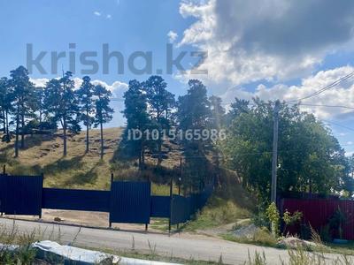 ! готовый бизнес · 950 м², бағасы: 66 млн ₸ в Бурабае
