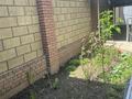 Отдельный дом · 8 комнат · 270 м² · 6 сот., мкр Алмас 236 — Шаляпина Момышулы за 130 млн ₸ в Алматы, Ауэзовский р-н — фото 14