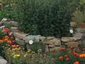 Жеке үй · 5 бөлме · 150.2 м² · 20 жүзд., Южный, бағасы: 60 млн ₸ в Мичуринское — фото 23