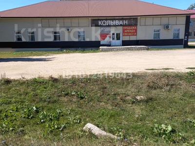 Свободное назначение, общепит, бани, гостиницы и зоны отдыха · 430 м² за 12 млн 〒 в Барнауле