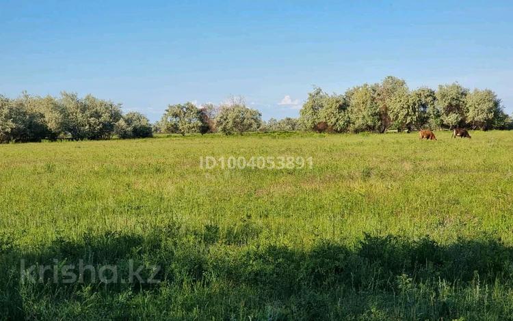 Участок · 57 га, Кырбалтабай за 74 млн 〒 — фото 5