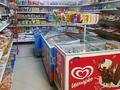Магазины и бутики • 187 м² за 115.5 млн 〒 в Астане, Алматы р-н — фото 2