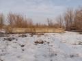 Участок · 10 соток, Ынтымак за 4 млн ₸ в Талдыкоргане, село Ынтымак — фото 2