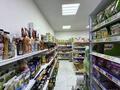 Магазины и бутики · 163 м² за 200 млн ₸ в Астане, Есильский р-н — фото 7