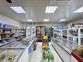 Магазины и бутики · 163 м² за 200 млн ₸ в Астане, Есильский р-н — фото 2