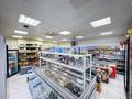 Магазины и бутики · 163 м² за 200 млн ₸ в Астане, Есильский р-н — фото 3