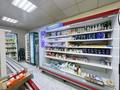 Магазины и бутики · 163 м² за 200 млн ₸ в Астане, Есильский р-н — фото 5