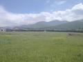 Жеке үй · 1 бөлме · 30 м² · 6 сот., Улица Шамгона Кажыгалиева 2 — Alatau Hills, бағасы: 21 млн ₸ в Талгаре — фото 3