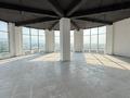 Еркін · 335 м², бағасы: 195 млн ₸ в Каскелене — фото 4