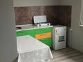 Отдельный дом · 8 комнат · 270 м² · 5 сот., Акдала 345 — Алтын орда за 55 млн ₸ в Иргели — фото 3