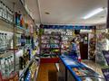 Магазины и бутики • 125 м² за ~ 50 млн 〒 в Таразе — фото 5