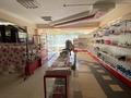 Магазины и бутики • 1025 м² за 150 млн 〒 в Талгаре — фото 6