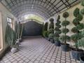 Отдельный дом · 7 комнат · 500 м² · 8.5 сот., Казыбек би — Тажибаева за 200 млн 〒 в Шымкенте, Аль-Фарабийский р-н — фото 4