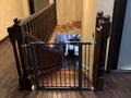 5-комнатная квартира · 230 м² · 1/4 этаж, Мусабаева — Саина Аскарова за 135 млн ₸ в Алматы, Бостандыкский р-н — фото 35