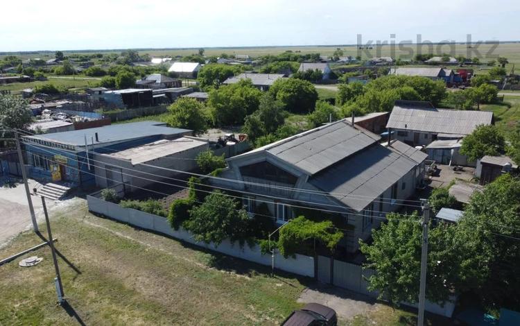 Отдельный дом · 6 комнат · 142 м² · 43 сот., Улица Мира за 43 млн ₸ в Силантьевке — фото 2