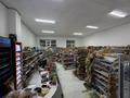 Готовый продуктовый бизнес · 110 м² за 25 млн ₸ в Астане, Нура р-н