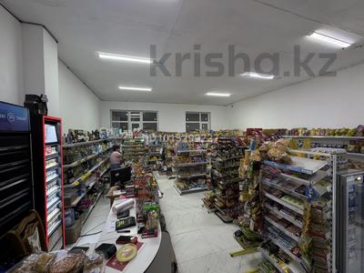 Готовый продуктовый бизнес · 110 м² за 25 млн ₸ в Астане, Нура р-н
