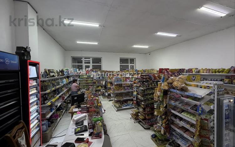 Готовый продуктовый бизнес · 110 м² за 25 млн ₸ в Астане, Нура р-н — фото 2