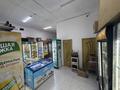 Готовый продуктовый бизнес · 110 м² за 25 млн ₸ в Астане, Нура р-н — фото 6