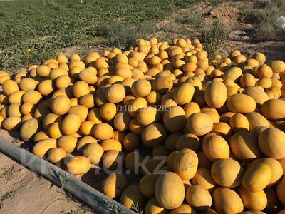 Участок · 30 га, Курык за 70 млн ₸
