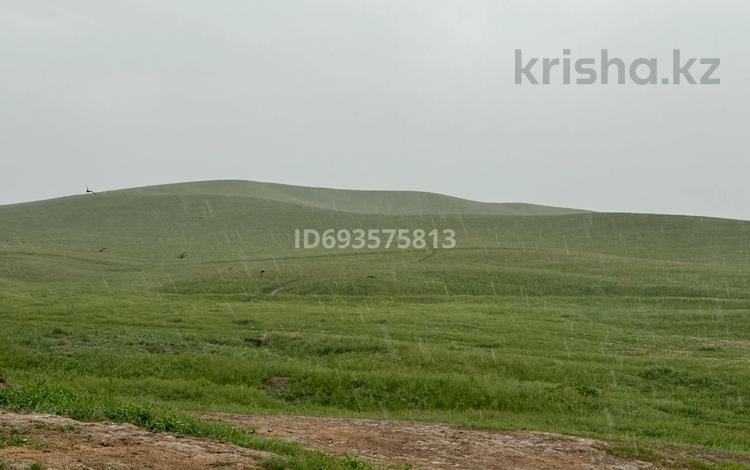 Участок 22 га, п. Шиен, П. Балгабек Кадырбек за 50 млн 〒 в Узынагаш, п. Шиен — фото 2