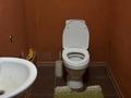2-комнатная квартира · 70 м² · 10/10 этаж, Б. Момышулы — Тәуелсіздік, Сәтбаев көшелері за 28 млн ₸ в Астане, Алматы р-н — фото 3