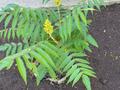 Жеке үй · 7 бөлме · 440 м² · 10 жүзд., Жилгородок ш/а., Парковая 16, бағасы: 89 млн ₸ в Актобе, мкр Жилгородок — фото 60