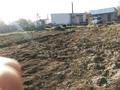 Участок · 10 соток, Лесная 1 — Школы 44 за 17 млн ₸ в Семее — фото 2